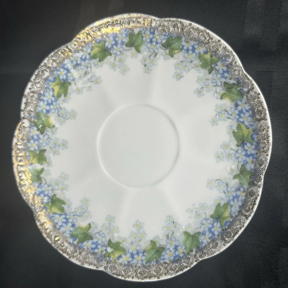 Forget-Me-Not Tea cup Saucer Translucent Fine Porcelain Gold Filigree Ivy ANTQ